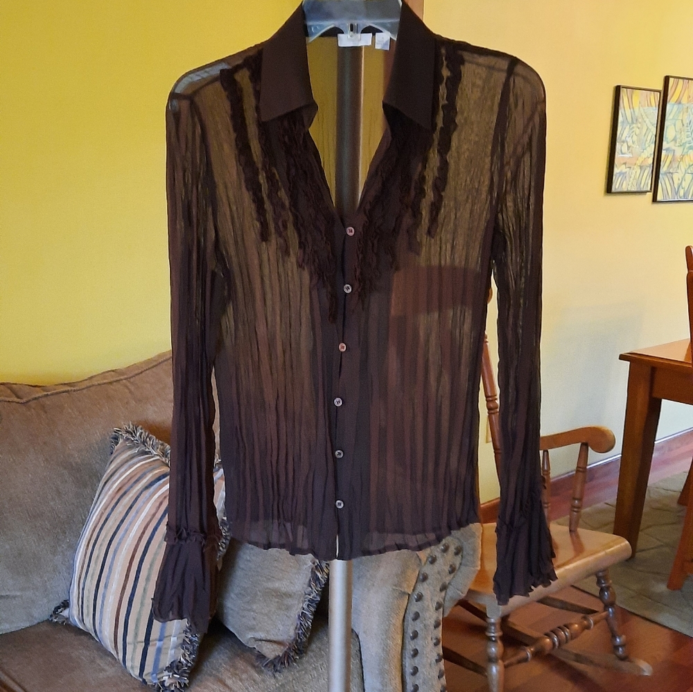 Women's Beautiful Brown Sheer Ruffle Crinkle Blouse